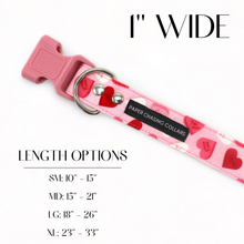 Load image into Gallery viewer, Valentine's Day dog collar, Valentine's Day candy heart dog collar - Bundle Builder