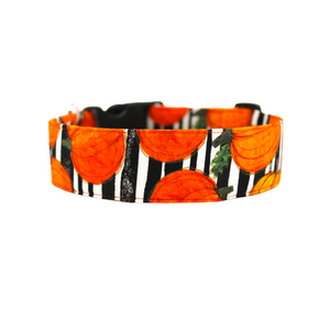 Cute pumpkin spice striped dog collar - build your bundle