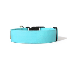 Load image into Gallery viewer, Solid Mint dog collar handmade in the USA by Paper Chasing collars