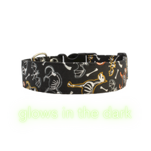 Load image into Gallery viewer, Pet skeleton glow in the dark Halloween dog collar - The Skully