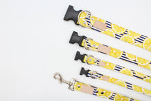Load image into Gallery viewer, Navy and white stripped lemon slice dog collar