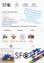 Load image into Gallery viewer, The Alexis - Red white and blue star dog collar - So Fetch & Company