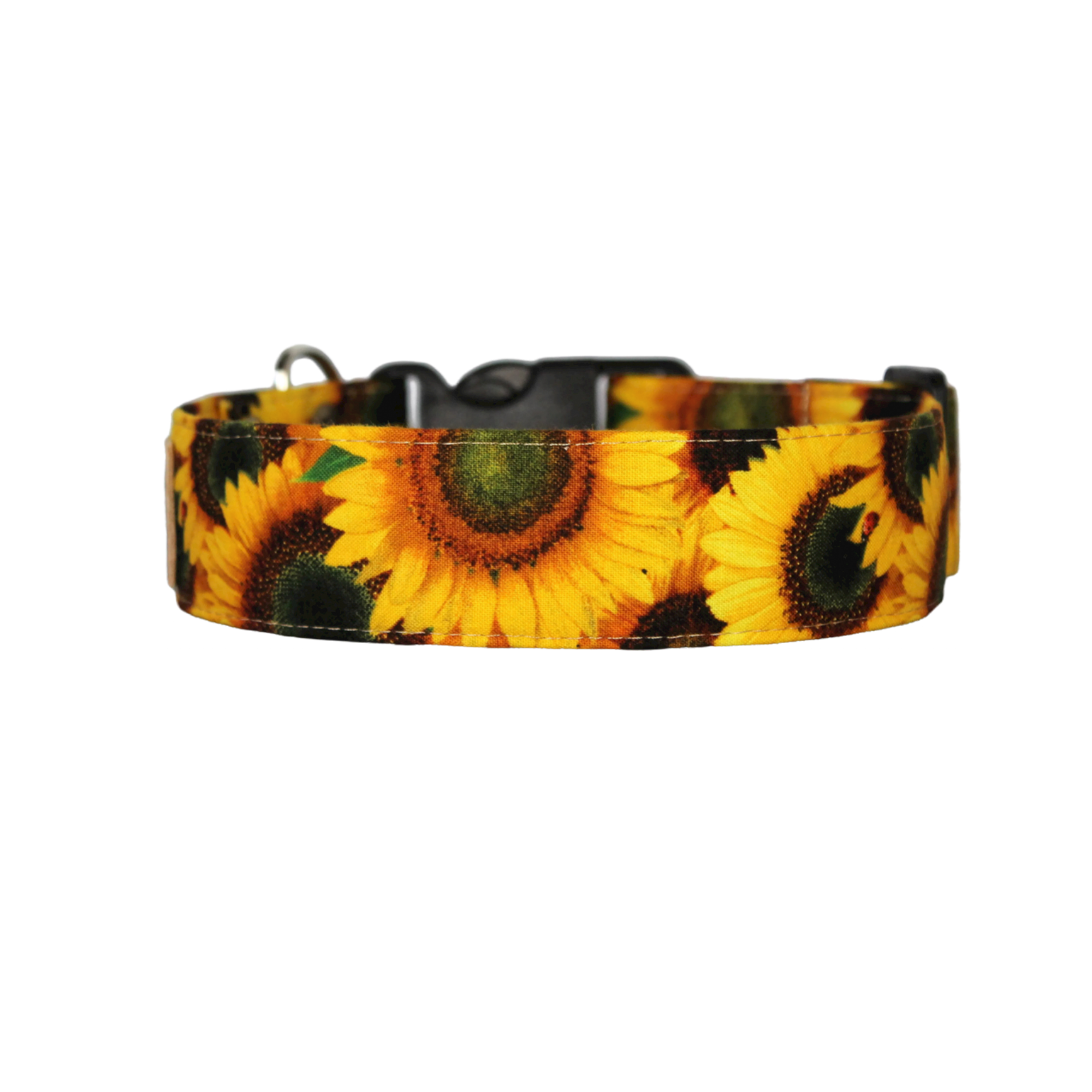 Dog clearance collar sunflower