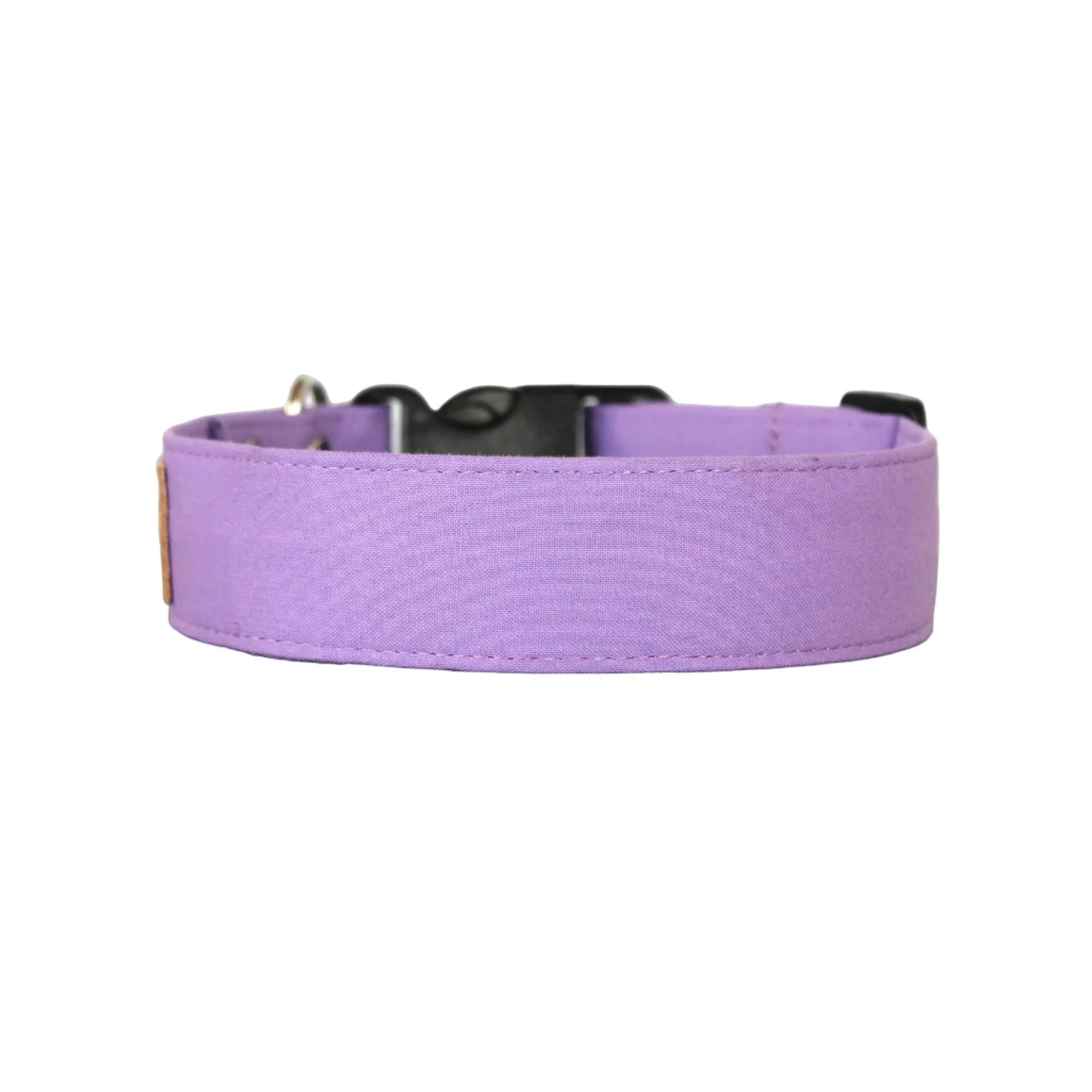 Lavender dog clearance collar