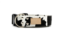 Load image into Gallery viewer, Cow print dog collar - The Ellie Mae