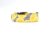 Load image into Gallery viewer, Navy and white stripped lemon slice dog collar