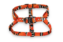Load image into Gallery viewer, Cute pumpkin spice striped dog collar - build your bundle
