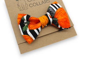 Cute pumpkin spice striped dog collar - build your bundle