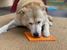 Load image into Gallery viewer, Zombie eMat - Enrichment Lick Mat for Dogs and Cats | Halloween Skull Design | SodaPup
