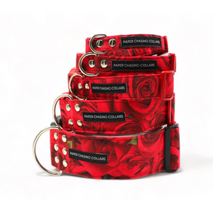 Red Roses Valentine's Day dog collar