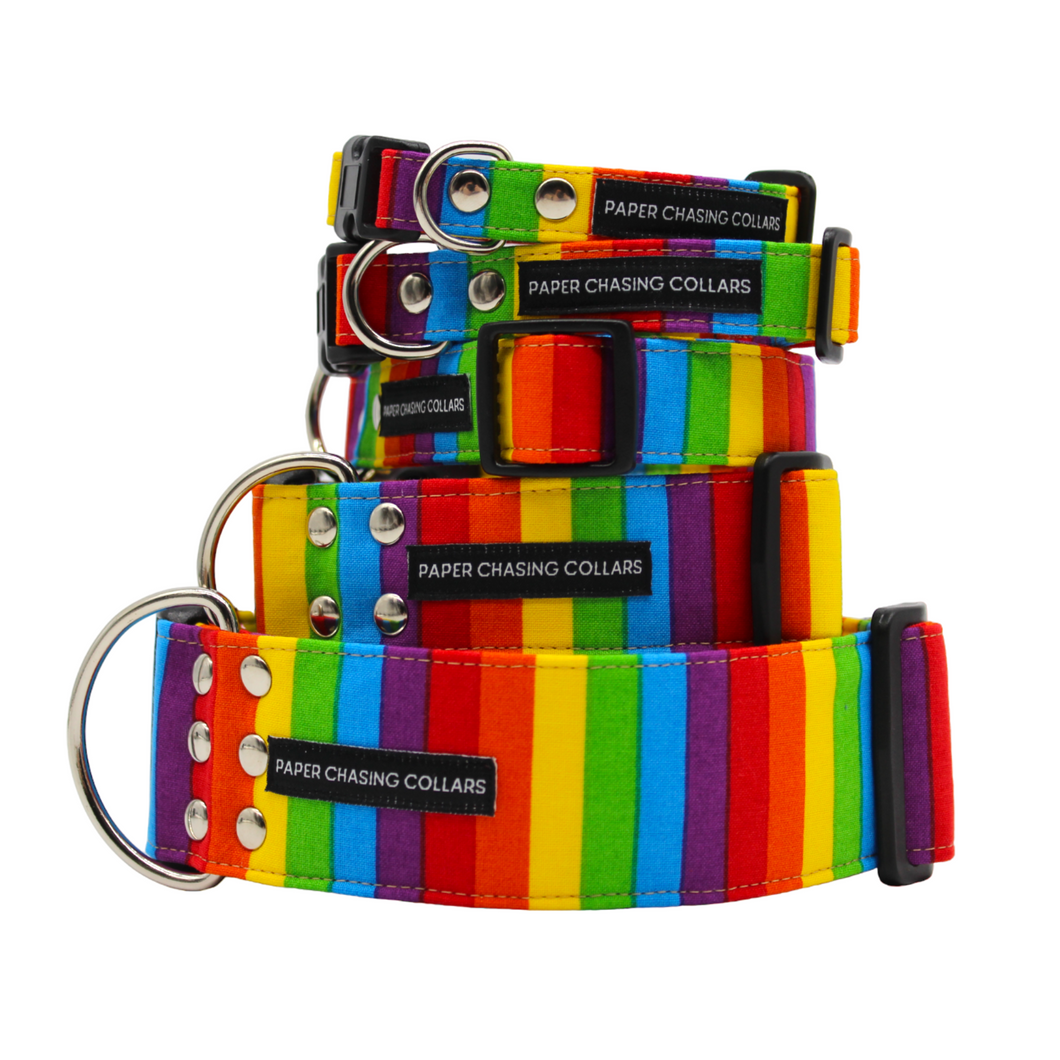 Pride flag dog collar