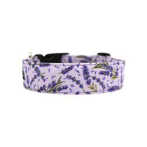 Purple lavender sprig dog collar