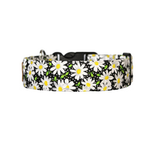 Load image into Gallery viewer, The Daisy Chain - black and white daisy dog collar
