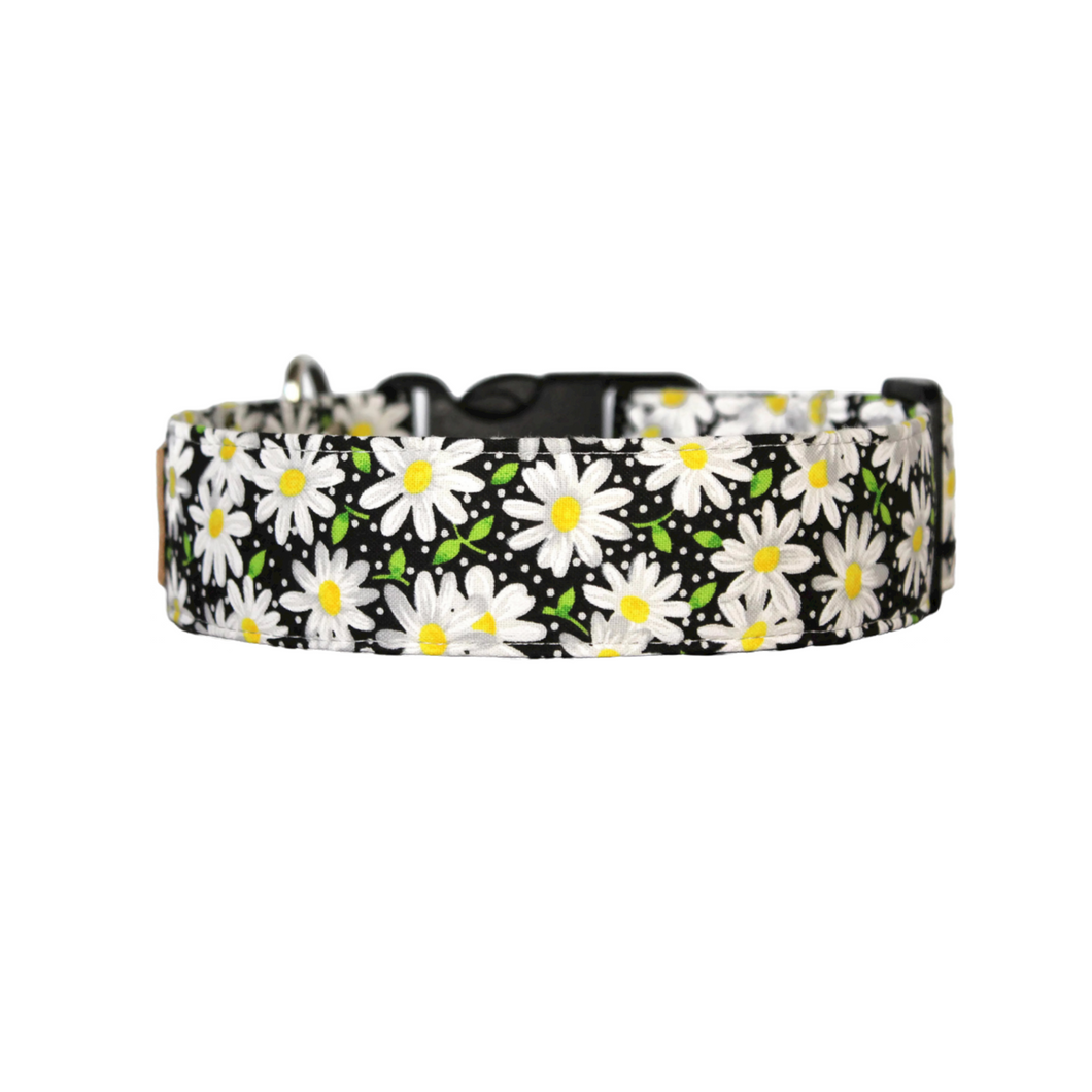 The Daisy Chain - black and white daisy dog collar