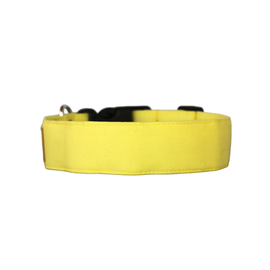 The Classic in Yellow - Solid yellow dog collar