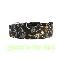 Load image into Gallery viewer, Pet skeleton glow in the dark Halloween dog collar - The Skully
