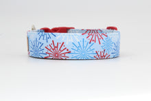 Load image into Gallery viewer, Red white and blue firework dog collar - The Tucker
