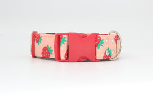 Cute summer strawberry dog collar - The Sadie