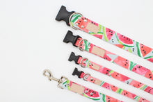 Load image into Gallery viewer, The Watermelon - Cute watercolor fruit inspired dog collar
