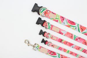 The Watermelon - Cute watercolor fruit inspired dog collar