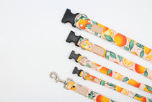 Load image into Gallery viewer, Juicy orange dog collar - The Florida
