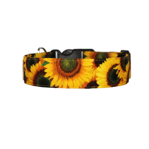 Cute sunflower dog collar