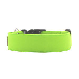 Lime Green Solid Dog Collar - The Classic in Lime