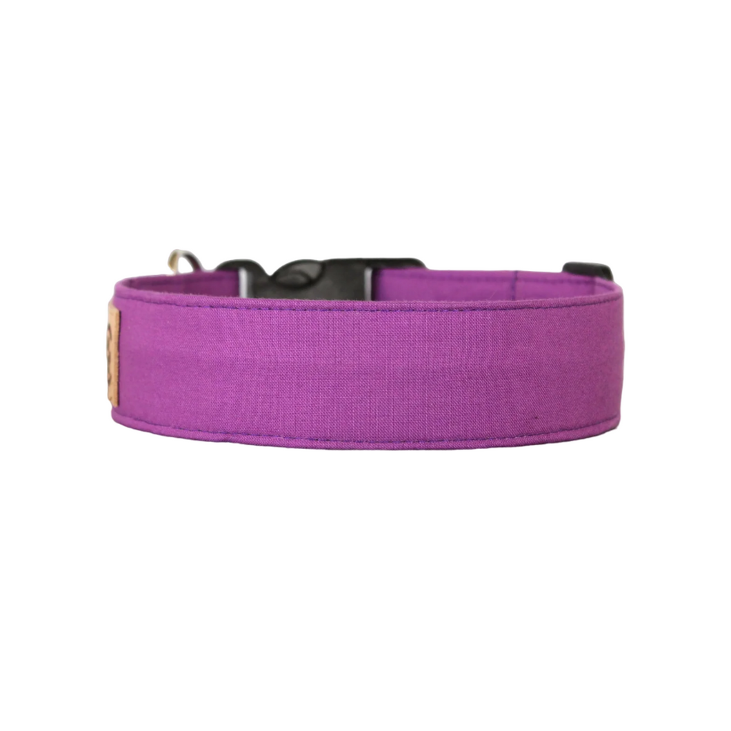 The Classic in Grape - Solid purple dog collar