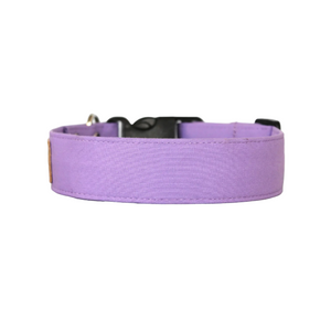 The Classic in Lavender - Solid purple dog collar
