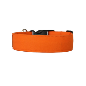 The Classic in Orange - Solid orange dog collar
