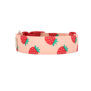 Cute summer strawberry dog collar - The Sadie