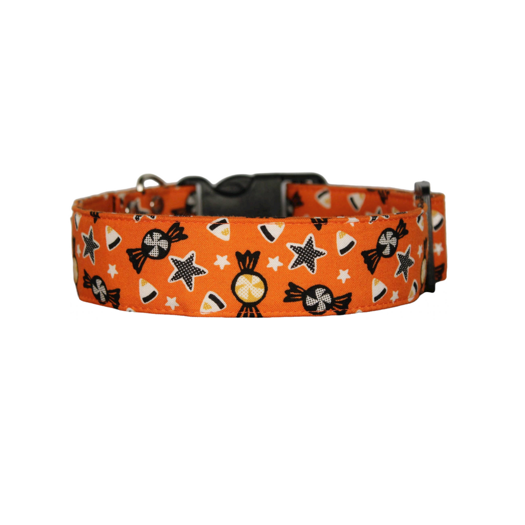 Orange and black Halloween candy dog collar - The Potion