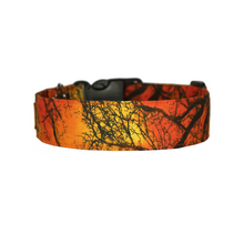 Load image into Gallery viewer, Haunted woods Halloween dog collar - The Fright
