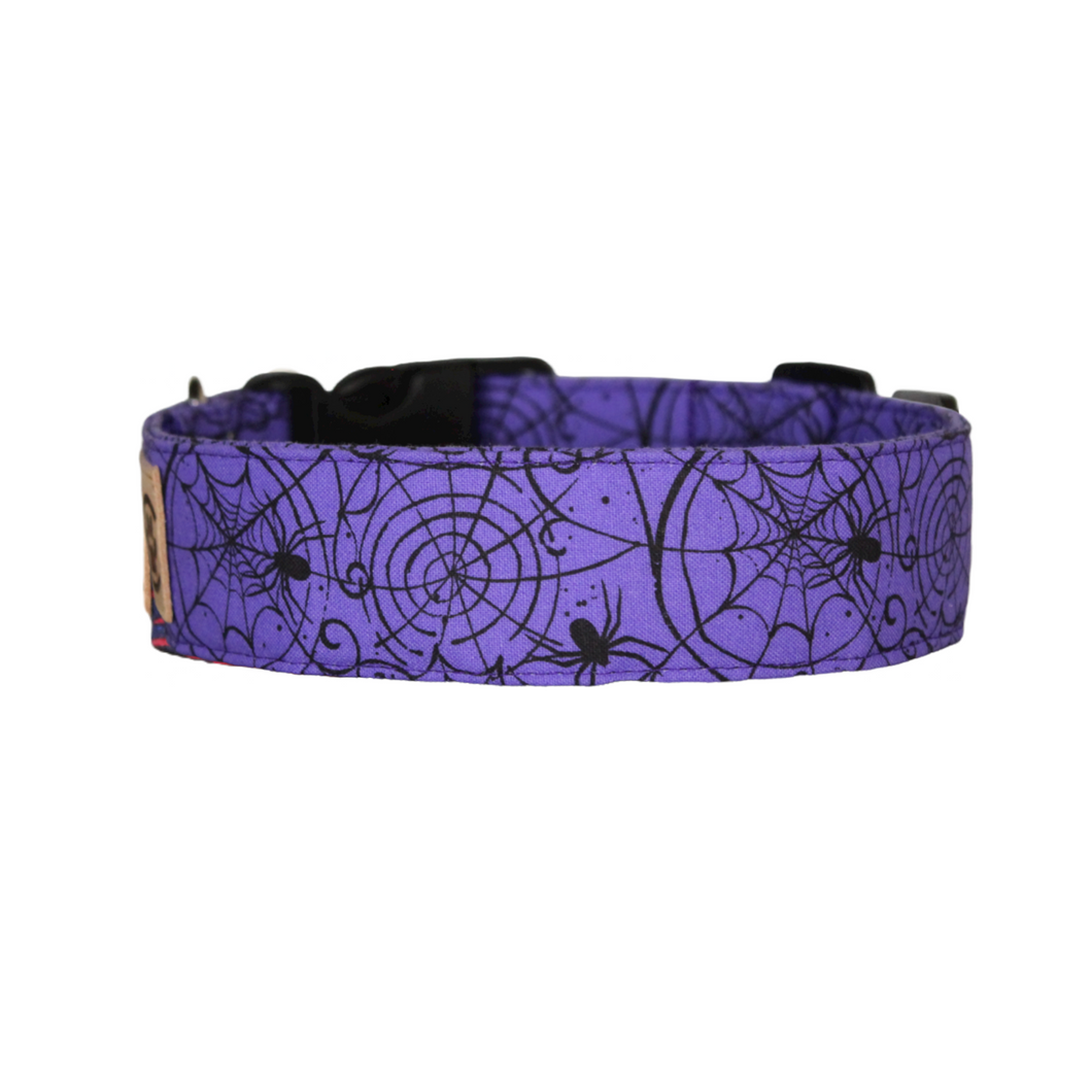 Purple spider web Halloween dog collar - The Amethyst Widow