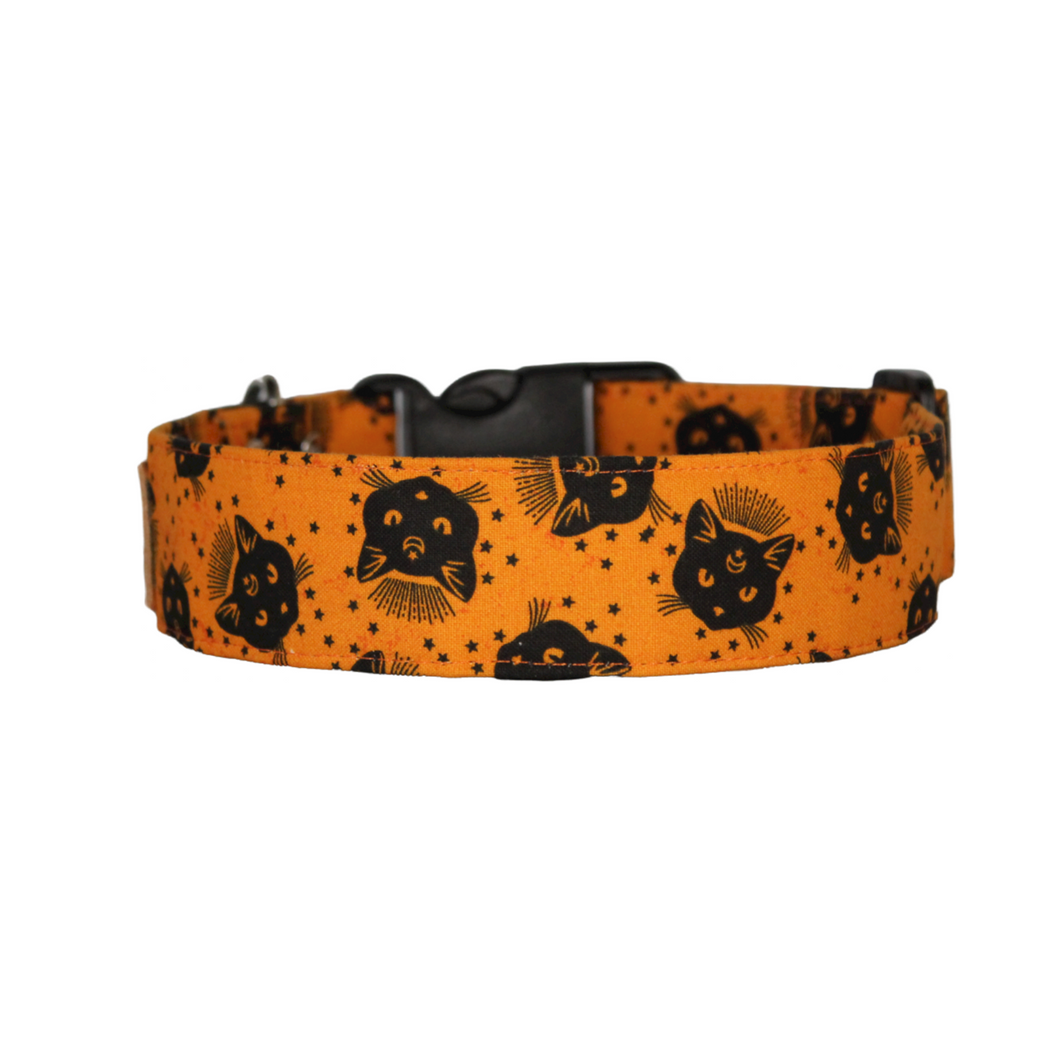 Orange and black cat Halloween dog collar - The Wicked Kitty