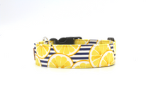 Load image into Gallery viewer, Navy and white stripped lemon slice dog collar
