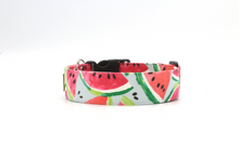 Load image into Gallery viewer, The Watermelon - Cute watercolor fruit inspired dog collar
