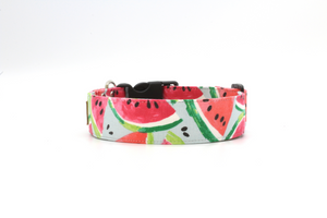 The Watermelon - Cute watercolor fruit inspired dog collar
