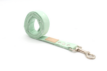 Load image into Gallery viewer, Mint Green Geometric Triangle Dog Leash - The Riley

