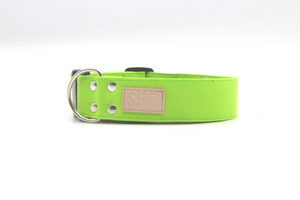 Lime Green Solid Dog Collar - The Classic in Lime