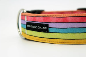Watercolor rainbow stripe Easter dog collar