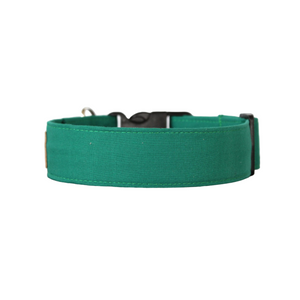 The Classic in Green - Solid green dog collar