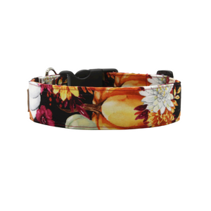 The Harvest - Pumpkin and fall floral dog collar