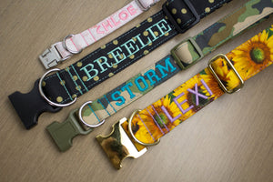 The Curtis - Wanderlust inspired airplane dog collar - So Fetch & Company