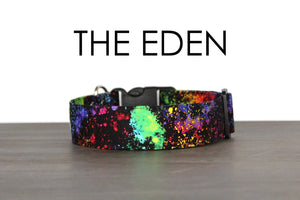 Neon Paint Splatter Dog Collar - The Eden