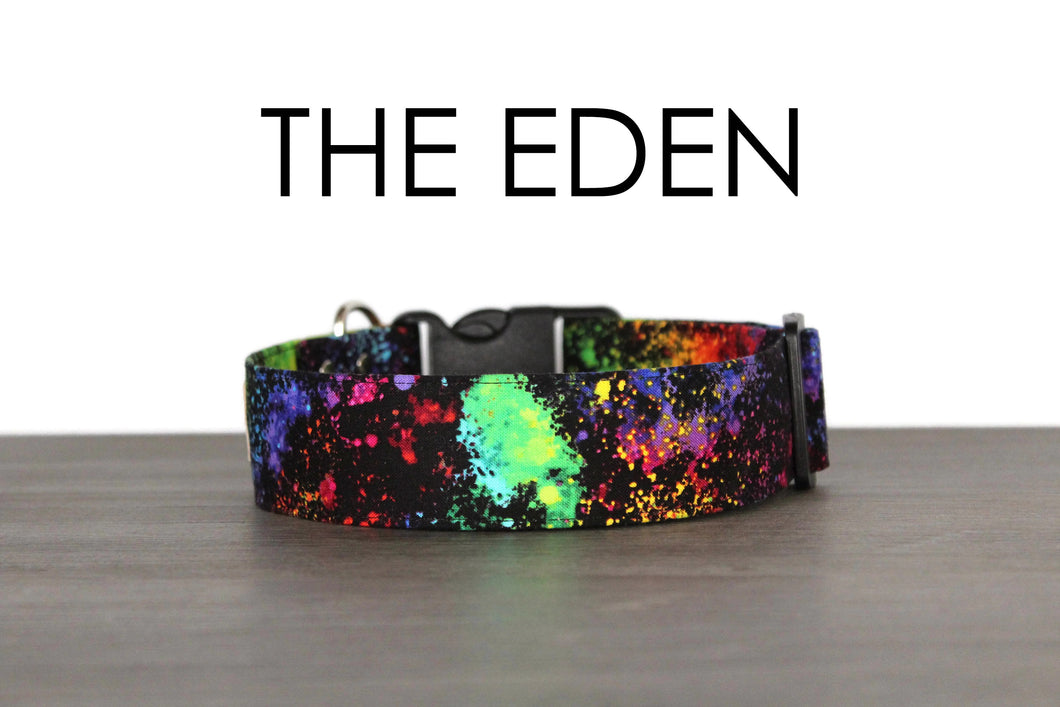 Neon Paint Splatter Dog Collar - The Eden