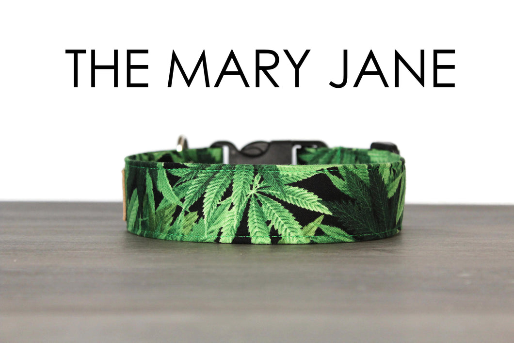 The Mary Jane - Realistic marijuana plant dog collar - So Fetch & Company